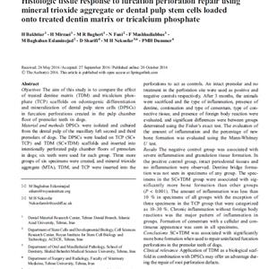 Histologic Tissue Response to Furcation Perforation Repair Using Mineral Trioxide Aggregate or Dental Pulp Stem Cells Loaded onto Treated Dentin Matrix or Tricalcium Phosphate