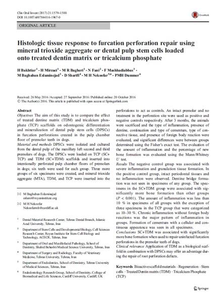 Histologic Tissue Response to Furcation Perforation Repair Using Mineral Trioxide Aggregate or Dental Pulp Stem Cells Loaded onto Treated Dentin Matrix or Tricalcium Phosphate